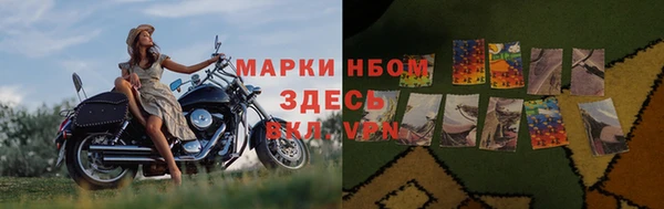 дмт Алзамай