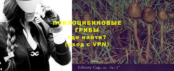 дмт Алзамай