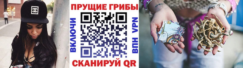 Псилоцибиновые грибы Psilocybe  darknet телеграм  Усть-Илимск 