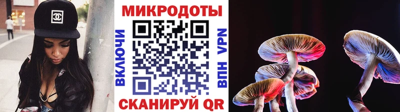 Галлюциногенные грибы GOLDEN TEACHER Усть-Илимск