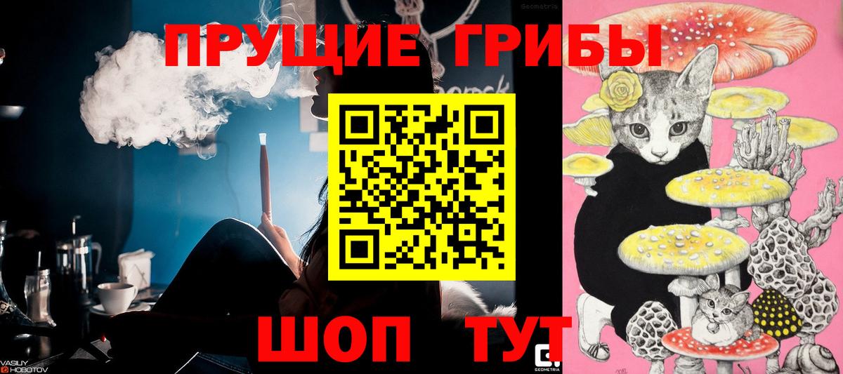 Галлюциногенные грибы Psilocybine cubensis  Псилоцибиновые грибы GOLDEN TEACHER  Усть-Илимск  Вход с VPN 