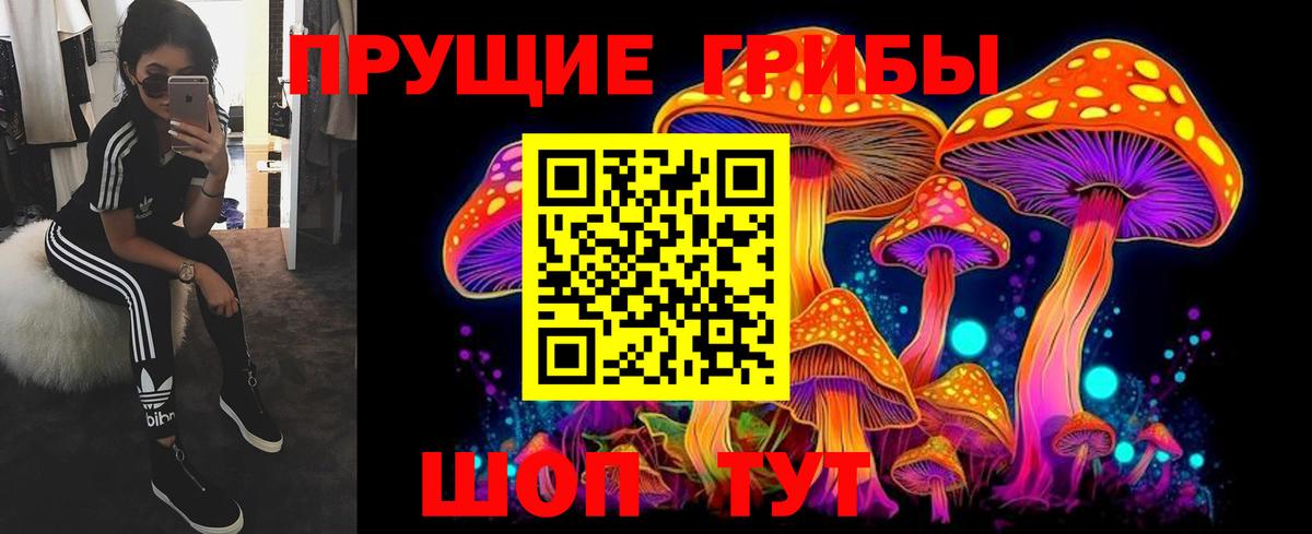 Галлюциногенные грибы Psilocybine cubensis Усть-Илимск